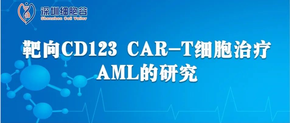 靶向CD123 CAR-T細(xì)胞治療AML的研究