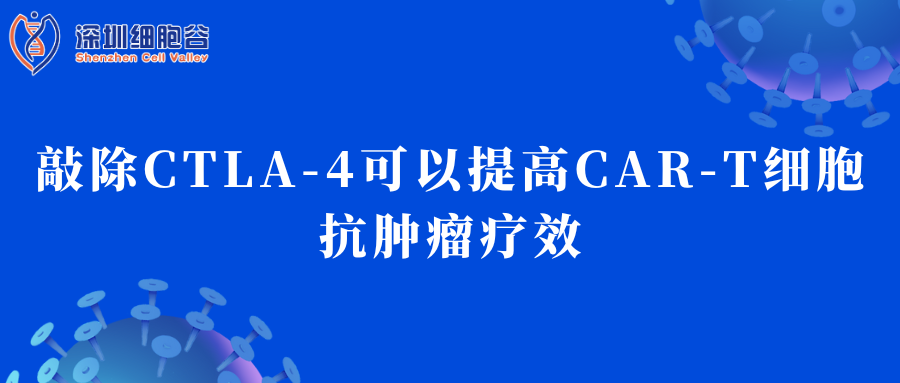 敲除CTLA-4可以提高CAR-T細(xì)胞抗腫瘤療效