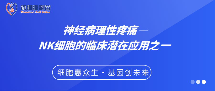 神經(jīng)病理性疼痛——NK細(xì)胞的臨床潛在應(yīng)用之一