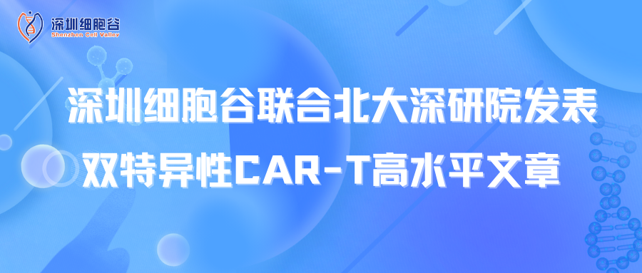 喜訊丨深圳細(xì)胞谷聯(lián)合北大深研院發(fā)表雙特異性CAR-T高水平文章