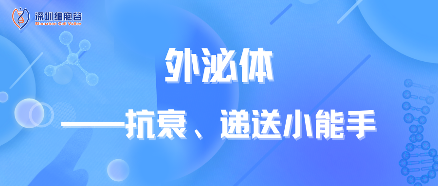 外泌體——抗衰、遞送小能手