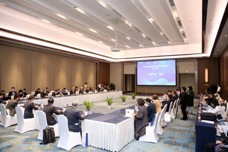 Chairman Shi Yuanyuan attended the third meeting of the Advisory Committee and Policy Advisory Committee of Pingshan ICH Park